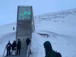 En Noruega: Director Nacional de INIA Chile participó en entrega de semillas a la “Bóveda del Fin del Mundo”