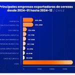 Datasur Informa: Exportadores Chilenos de Cerezas celebran los números de 2024, de la mano de China su principal comprador internacional