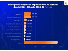 Datasur Informa: Exportadores Chilenos de Cerezas celebran los números de 2024, de la mano de China su principal comprador internacional