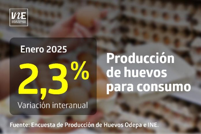 La producción de huevos de consumo presentó un aumento interanual de 2,3% en enero de 2025