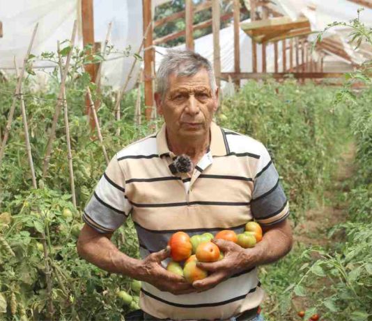 INIA destaca el rol de depredadores naturales en el control de plagas 