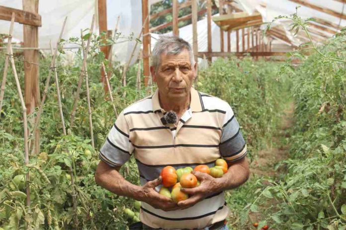 INIA destaca el rol de depredadores naturales en el control de plagas 