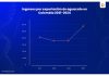 Datasur informa: Importante crecimiento de las exportaciones de aguacate de Latinoamérica en 2024, por aumento de compradores internacionales