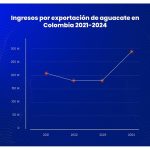 Datasur informa: Importante crecimiento de las exportaciones de aguacate de Latinoamérica en 2024, por aumento de compradores internacionales