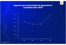 Datasur informa: Importante crecimiento de las exportaciones de aguacate de Latinoamérica en 2024, por aumento de compradores internacionales