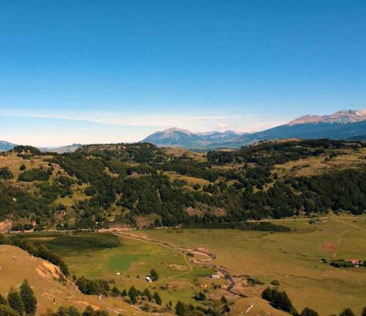 La manera de construir en una parcela de agrado del sur de Chile sin impactar el medioambiente