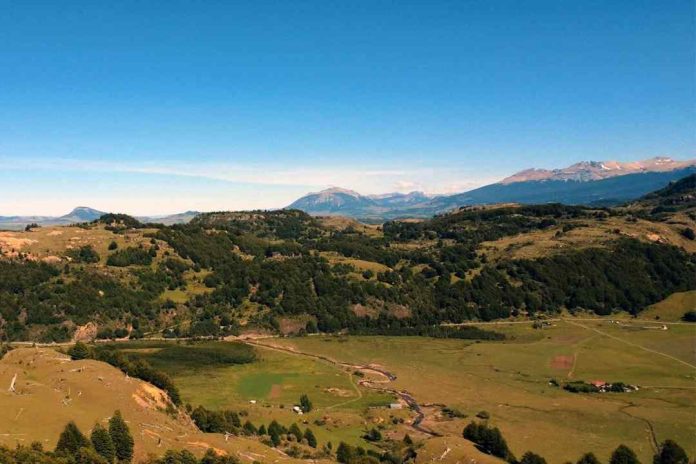 La manera de construir en una parcela de agrado del sur de Chile sin impactar el medioambiente