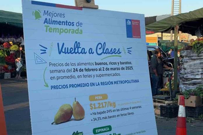 MAT Vuelta a Clases: Ministro Valenzuela llama a aumentar consumo de frutas y verduras en las colaciones escolares