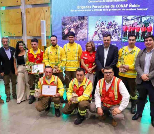 Ministro Valenzuela destaca avances de la gestión del Gobierno en ceremonia de reconocimiento a brigadistas de CONAF de Ñuble