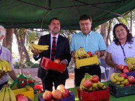 Ministro de Agricultura llama a replicar banco de alimentos y a consumir frutas y verduras en Día de la Mujer Feriante