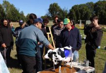 Muestran avances de ganadería sostenible, biotecnología y alimentos a futuros profesionales del agro 