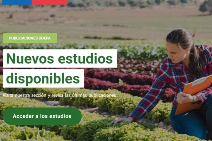 Odepa renovó la sección de estadística de su sitio web