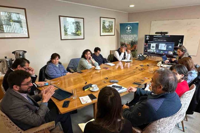 PTI de la Carne Bovina Los Lagos consolida avances y proyecta su continuidad