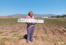 Pequeñas agricultoras de Atacama y Coquimbo podrán presentar sus proyectos a concurso de la CNR dirigido a mujeres