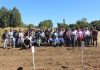 Productores y productoras de papa conocen resultados de ensayo de variedades de papa en Estación de Pruebas del SAG