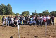 Productores y productoras de papa conocen resultados de ensayo de variedades de papa en Estación de Pruebas del SAG