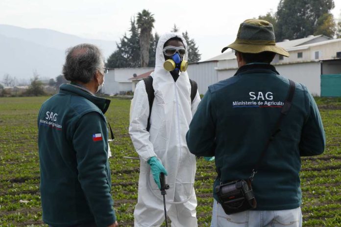 SAG prohíbe tres nuevos plaguicidas de uso agrícola