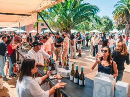 V Versión de la Fiesta Vitivinícola del Valle de San Antonio: La Primera Vendimia de la Región de Valparaíso 2025 V Versión de la Fiesta Vitivinícola del Valle de San Antonio: La Primera Vendimia de la Región de Valparaíso 2025