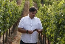 VIÑA TERRANOBLE CONSOLIDA SU EXCELENCIA CON EL RECONOCIMIENTO TOP 100 WINEMAKERS EN DRINK BUSINESS