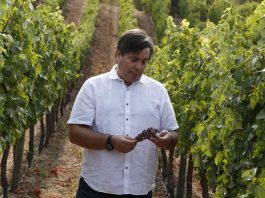 VIÑA TERRANOBLE CONSOLIDA SU EXCELENCIA CON EL RECONOCIMIENTO TOP 100 WINEMAKERS EN DRINK BUSINESS