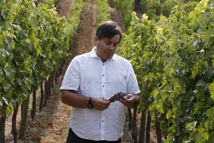 VIÑA TERRANOBLE CONSOLIDA SU EXCELENCIA CON EL RECONOCIMIENTO TOP 100 WINEMAKERS EN DRINK BUSINESS