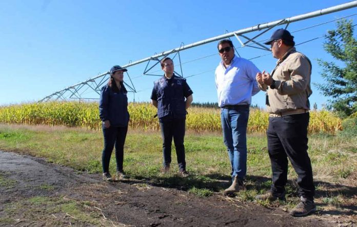 Destacan importancia de la eficiencia energética para contribuir a la seguridad alimentaria en Biobío