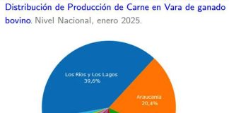 Producción de carne en vara de ganado bovino de la Región del Biobío presentó una disminución interanual de 4,5% en enero de 2025