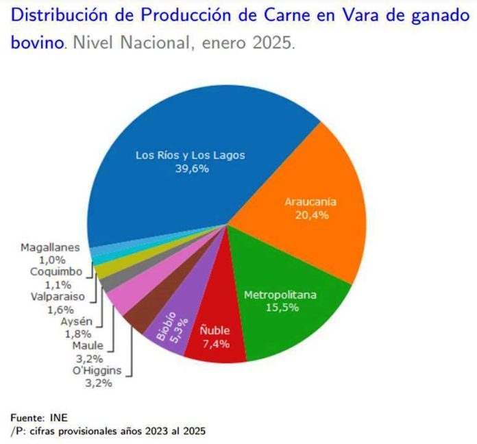 Producción de carne en vara de ganado bovino de la Región del Biobío presentó una disminución interanual de 4,5% en enero de 2025