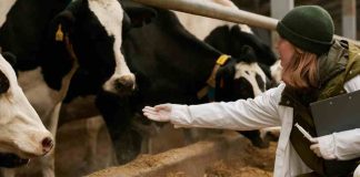 Seguridad de la proteína animal en Chile: Cinco tendencias clave en salud y bienestar animal