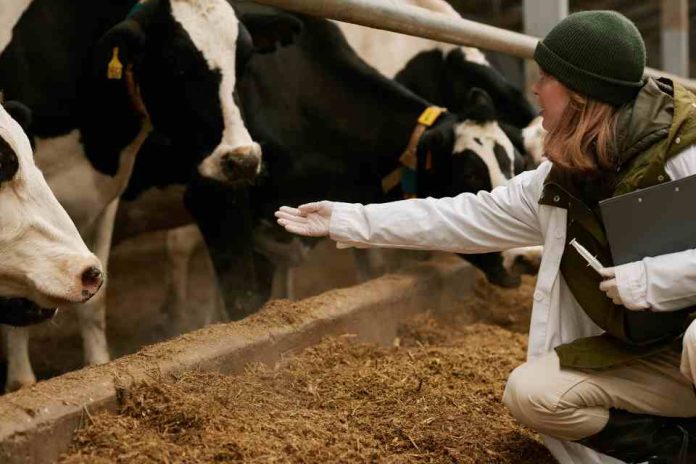 Seguridad de la proteína animal en Chile: Cinco tendencias clave en salud y bienestar animal