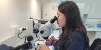 CONAF Arica pone en marcha el primer laboratorio y banco de semillas de la Macrozona Norte