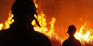 Científicos enfrentan los impactos del fuego con nuevas estrategias