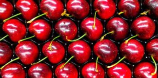 Claves para la próxima temporada de la cereza