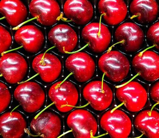 Claves para la próxima temporada de la cereza