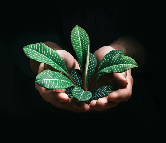 ¿Dónde está el valor estratégico de contar con políticas ESG en las empresas?