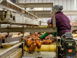 Higiene, trazabilidad y cumplimiento: los desafíos que enfrenta la industria alimentaria Higiene, trazabilidad y cumplimiento: los desafíos que enfrenta la industria alimentaria