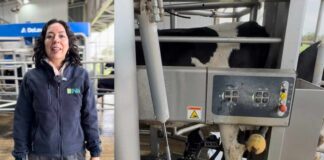 INIA Remehue será una de las sedes del tour técnico de la Cumbre Mundial de la Leche 2025