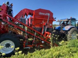 Innovación en la cosecha de zanahorias: la GBC de Dewulf optimiza la productividad Innovación en la cosecha de zanahorias: la GBC de Dewulf optimiza la productividad