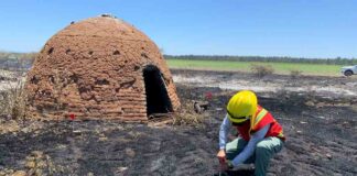 Investigación incendios forestales