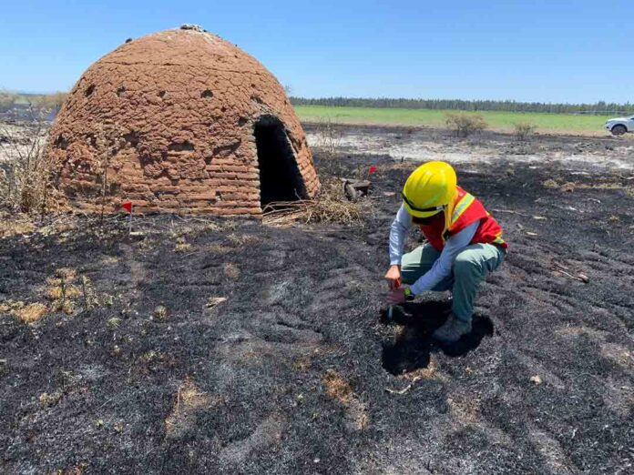 Investigación incendios forestales Investigación incendios forestales