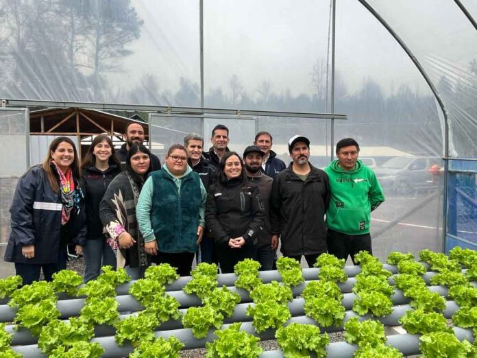 Naturgy Chile y Desafío Levantemos Chile entregan donación de dos biodigestores a la comunidad de Mulchén Naturgy Chile y Desafío Levantemos Chile entregan donación de dos biodigestores a la comunidad de Mulchén