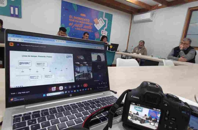 “Red Thinkagro” es el camino de la sostenibilidad a través del uso de tecnologías de la agricultura de Maule y Ñuble