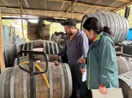 SAG fiscaliza bodegas de vinos y mostos en Biobío