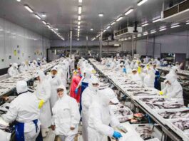 Trabajadoras de la industria pesquera del Biobío exponen en la Comisión de Hacienda del Senado: “Esta ley significa despidos”