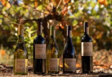 Viña Cono Sur fue seleccionada por undécima vez en el ranking Most Admired Wine Brands Viña Cono Sur fue seleccionada por undécima vez en el ranking Most Admired Wine Brands