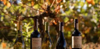 Viña Cono Sur fue seleccionada por undécima vez en el ranking Most Admired Wine Brands