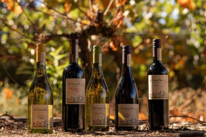 Viña Cono Sur fue seleccionada por undécima vez en el ranking Most Admired Wine Brands