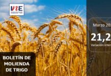 INE Biobío publica cifras de molienda de trigo correspondiente a marzo de 2025