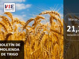 INE Biobío publica cifras de molienda de trigo correspondiente a marzo de 2025 INE Biobío publica cifras de molienda de trigo correspondiente a marzo de 2025