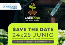 ¡AgriFood Summit Araucanía! 🌿24 & 25 de Junio en Temuco ¡AgriFood Summit Araucanía! 🌿24 & 25 de Junio en Temuco